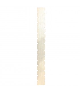 Transparent Toothed Padel Protector